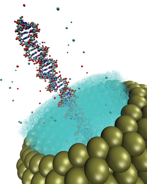 Ein DNA-Molekül in einer zylindrischen Pore. Die DNA ist umgeben von Wassermolekülen sowie einer gewissen Anzahl Ionen. Entlang der Pore ist eine Spannung angelegt und in Simulationen wird der elektrische Strom gemessen. Dies ist ein einfaches Modell für den DNA-Transport durch Nanoporen, einer interessanten Technologie zur Sequenzierung von DNA.