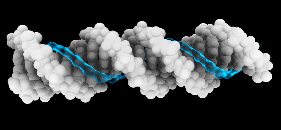 Darstellung des Ionen-Stroms um einen DNA-Strang.